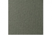 Бумага д/пастели 500*650 Виридоновый Зелёный 160г/м² LANA