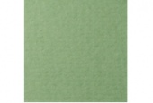 Бумага д/пастели 500*650 Зелёный Сок 160г/м² LANA